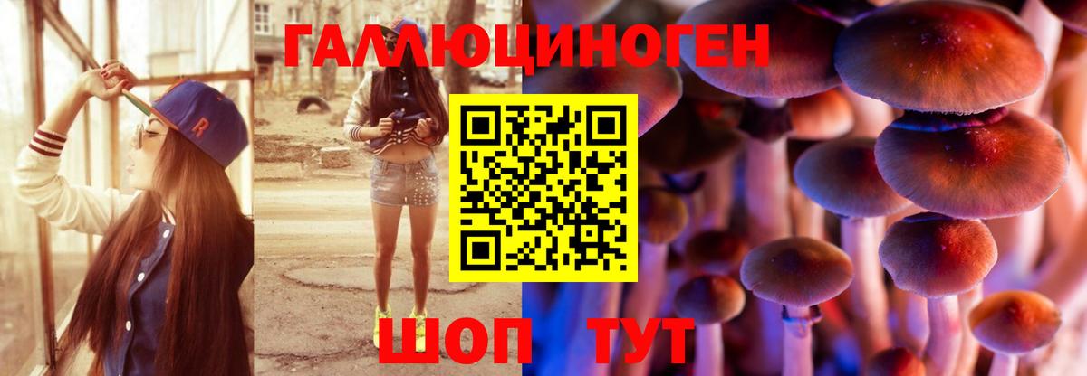 Нерюнгри  Галлюциногенные грибы мицелий  Вход с VPN 